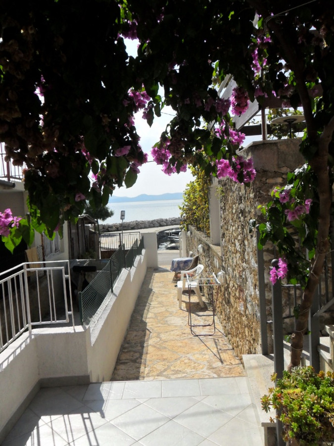 Apartmani Milin uz more Zadar - Diklo Zadar