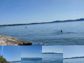 Apartments Milin by the sea Zadar - Diklo, Croatia Zadar