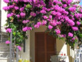 Apartments Milin by the sea Zadar - Diklo, Croatia Zadar